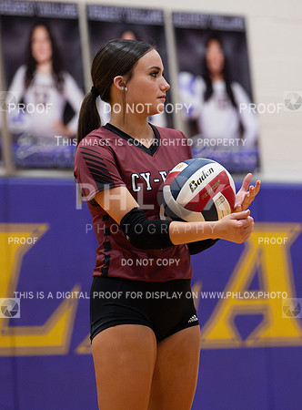 DLS_0854