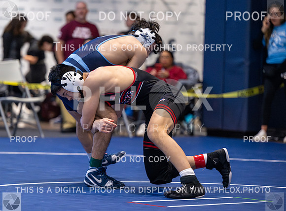 DLS_4388