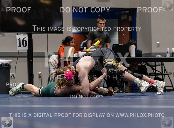 DLS_7464