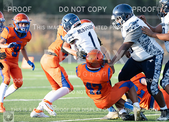 RDA_0353-2