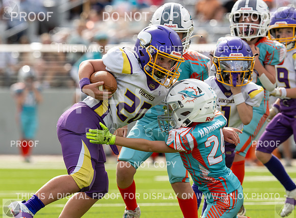 12pm Freshman -Vikings (V) vs Dolphins (H)-161