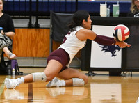 2023-8-29 Cy-Fair @ Tomball Memorial - Girls - Varsity - Volleyball