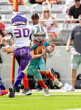 12pm Freshman -Vikings (V) vs Dolphins (H)-121