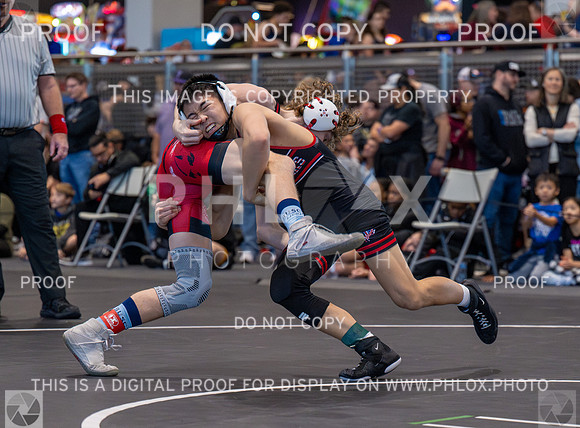 DLS_2997