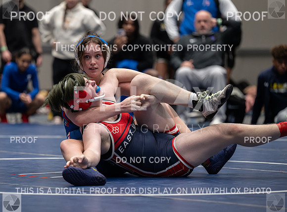 DLS_6523