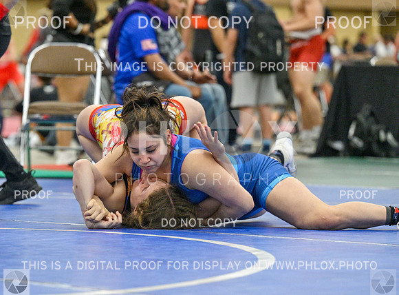 DLS_3431