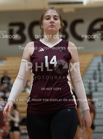 DLS_7244