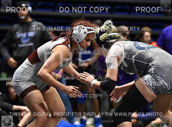 DLS_6858