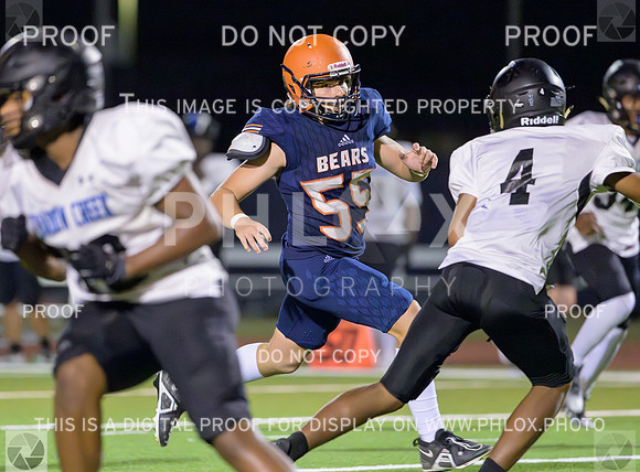 PSZ_21013617