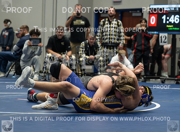 DLS_6268