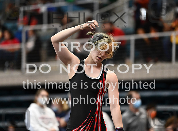 DLS_2697