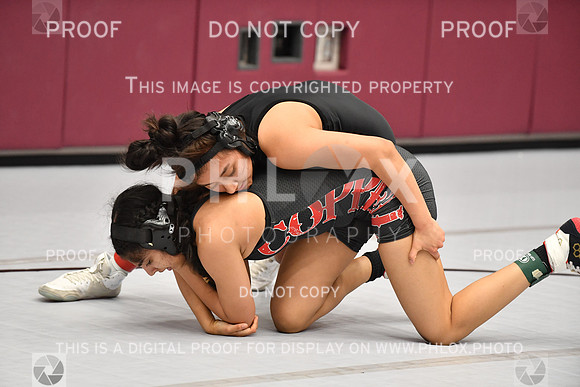 RAY_0095