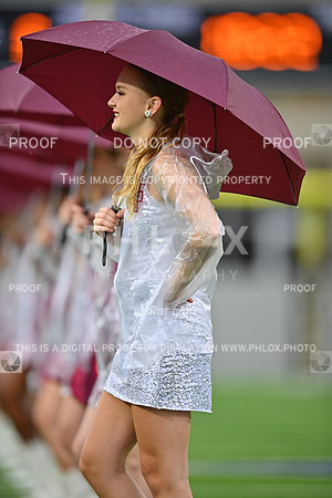 DLS_4972