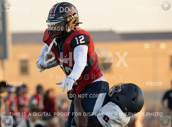 DLS_8475