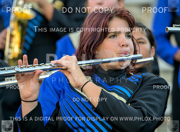 PSZ_18310013