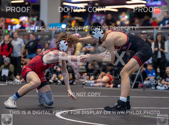 DLS_3031