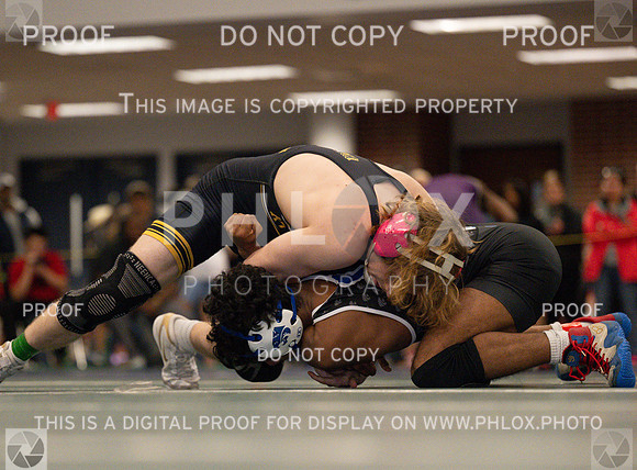 DLS_1766