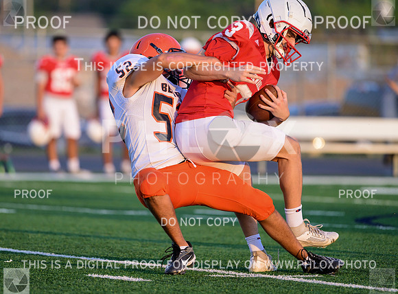 PSZ_18382870