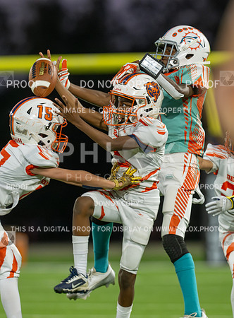 4pm Jv-Bears (V) vs Dolphins (H)-160