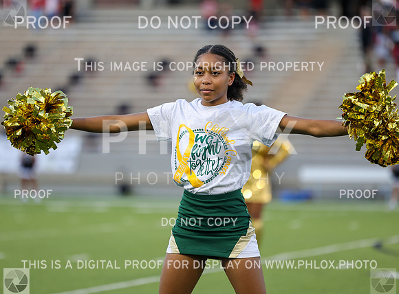 DDN_3845