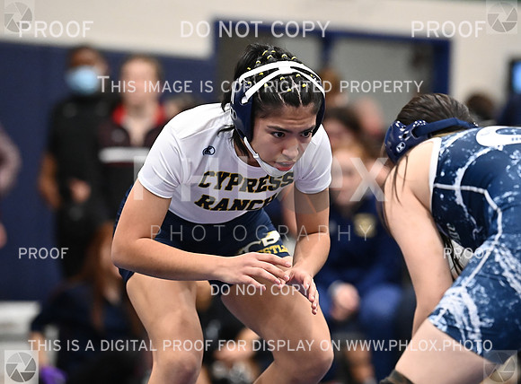 DLS_4549