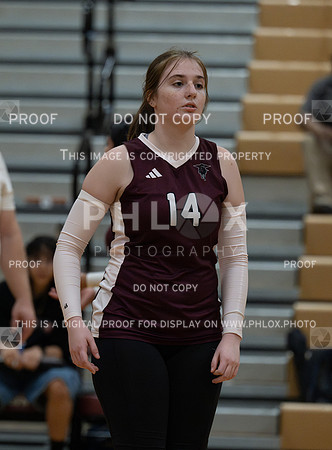 DLS_7216