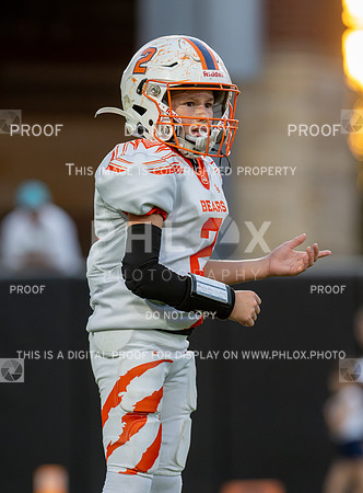 4pm Jv-Bears (V) vs Dolphins (H)-123
