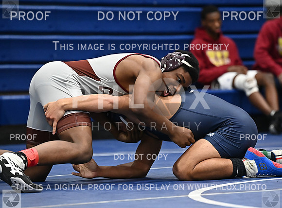 DLS_4313