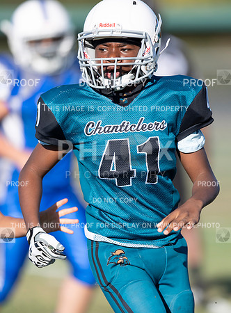 CAR_3135