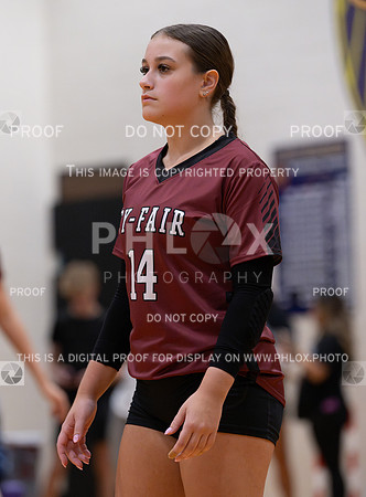 DLS_0615