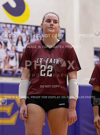 DLS_0695