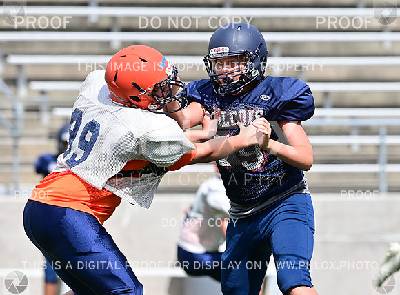 TD6_5887
