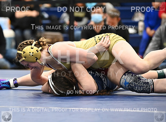 DLS_4516