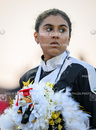 PSZ_191020