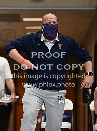 DLS_3090