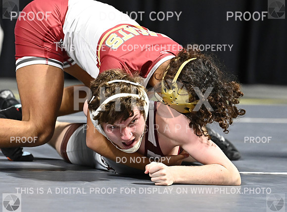 DLS_6898