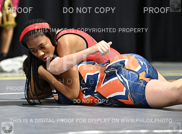DLS_6966