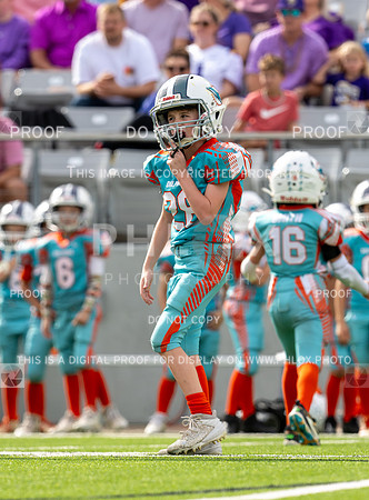 12pm Freshman -Vikings (V) vs Dolphins (H)-175