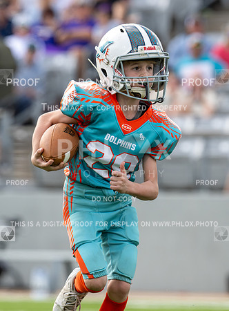 12pm Freshman -Vikings (V) vs Dolphins (H)-82