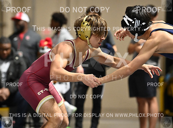 DLS_6990