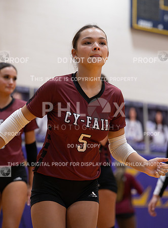 DLS_0637