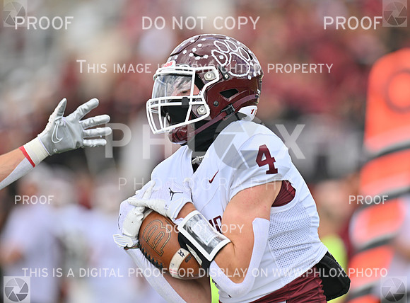 FS9_4888