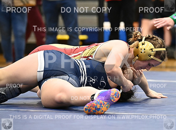 DLS_4512