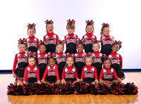 Tiny A Falcons CFSA Cheer 2023