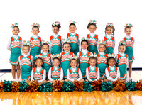 Mini B Rookie Dolphins CFSA Cheer 2023