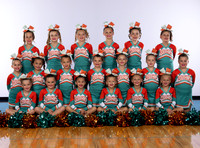 Mini A Freshman Dolphins CFSA Cheer 2023