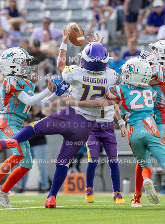 12pm Freshman -Vikings (V) vs Dolphins (H)-103