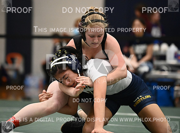 DLS_5544