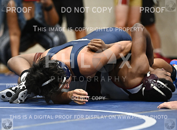 DLS_4317