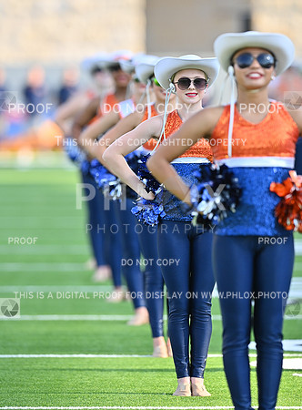 DLS_8354